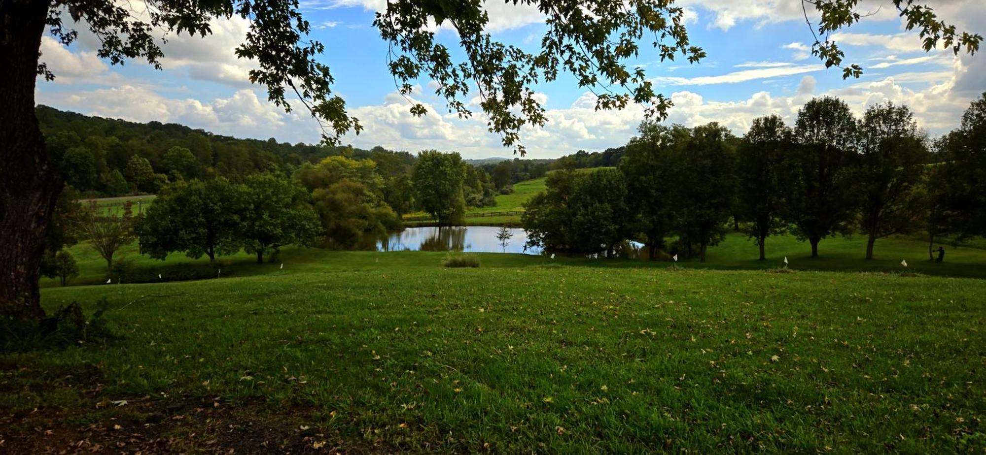 Hotel West Park Gardens Culpeper Zimmer foto